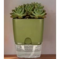 Горшок цветочный Квадрат Аквадуэт 11,5*11,5см 1,5 л папоротник