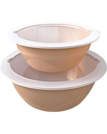 Набор мисок с крышками Дуэт (2,1л, 3,9л)