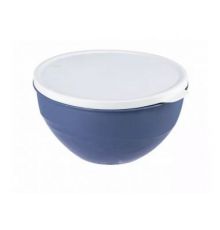 Миска с крышкой 1л Line DUO 16х15,5х8см
