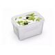 Контейнер прямоугольный для СВЧ Fresh олива 1,1л 16,5х11,6х9,5см