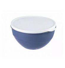 Миска с крышкой 2л Line DUO 20х19,4х10,5см
