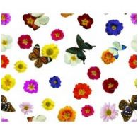 Клеенка Transparent PVC Tablecloth 1,37*30m прозрачная с рисунком TT-2583