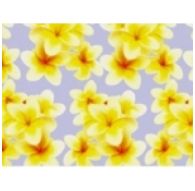 Клеенка Transparent PVC Tablecloth 1,37*30m прозрачная с рисунком TT-4815А